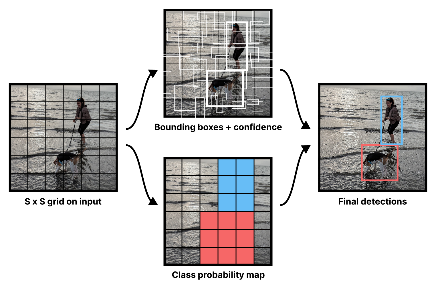 YOLO outputs as visualized in the first YOLO paper