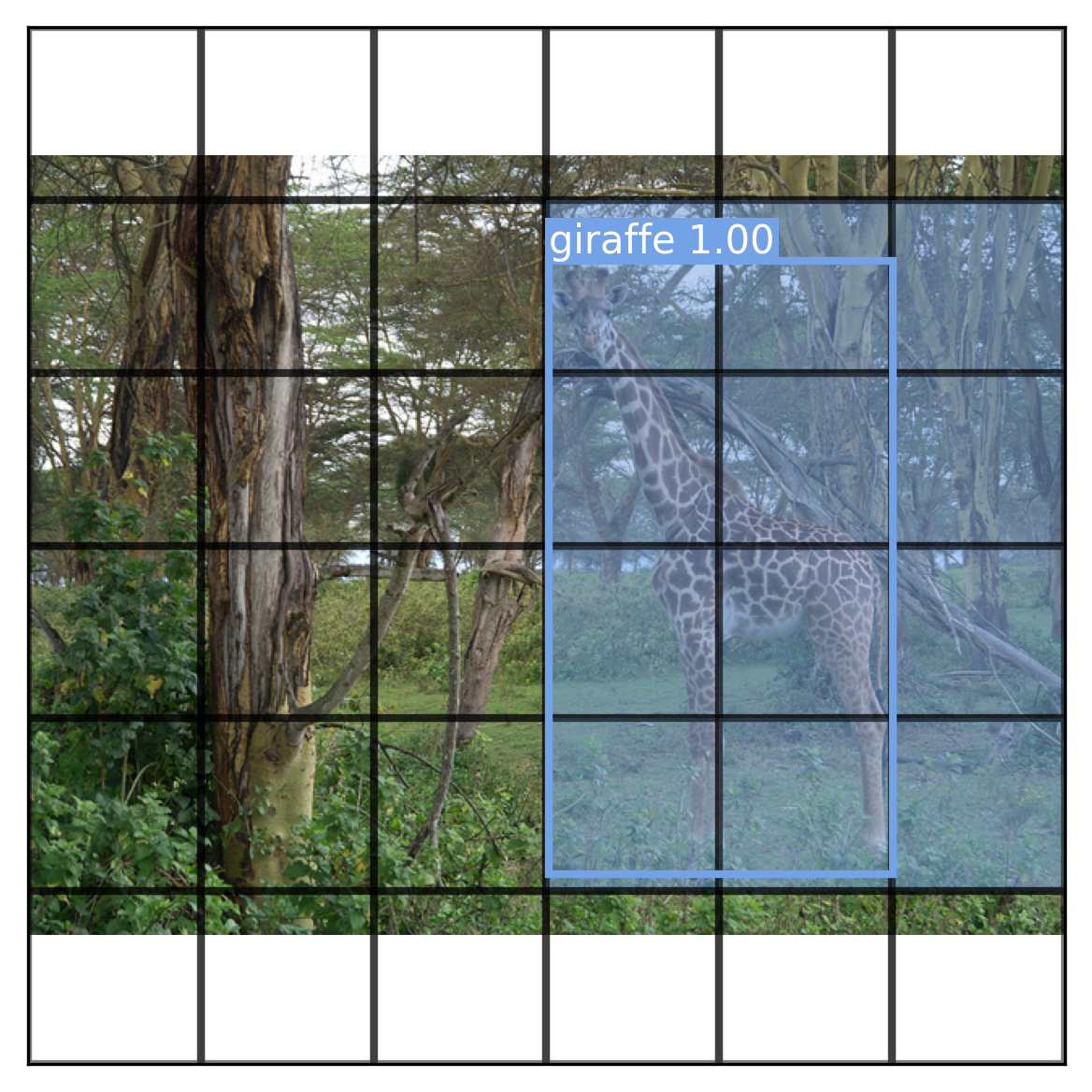 YOLO outputs a bounding box prediction and class label for each image region.